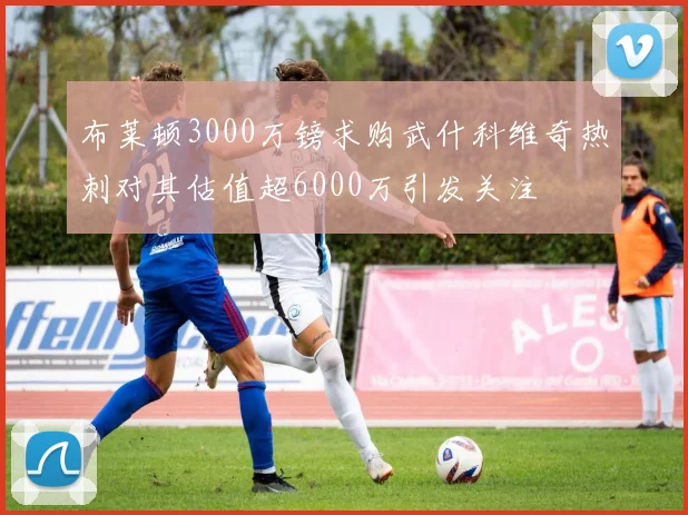 布莱顿3000万镑求购武什科维奇热刺对其估值超6000万引发关注