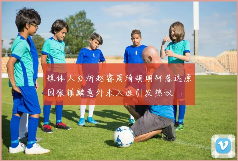 媒体人分析赵睿周琦胡明轩落选原因张镇麟意外未入选引发热议