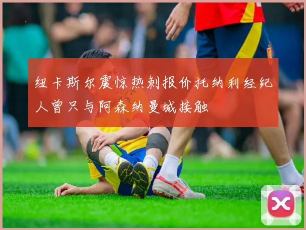 纽卡斯尔震惊热刺报价托纳利经纪人曾只与阿森纳曼城接触